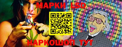 стаф Бугуруслан