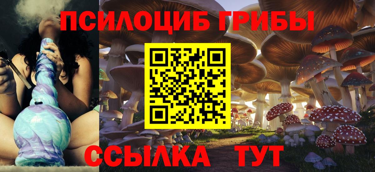 Псилоцибиновые грибы мицелий Энгельс