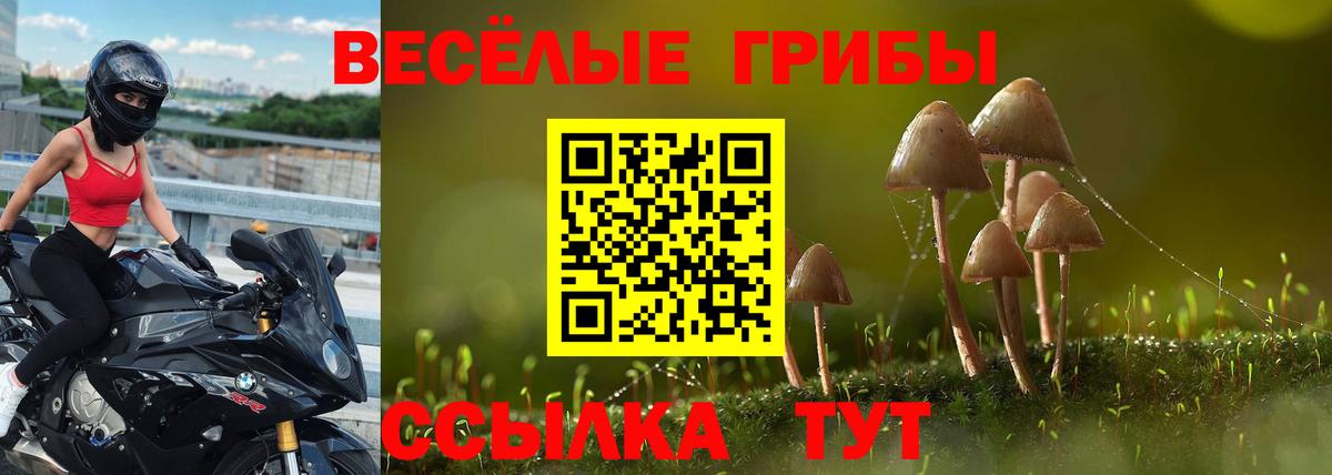 Псилоцибиновые грибы GOLDEN TEACHER  Вход с VPN  Энгельс 